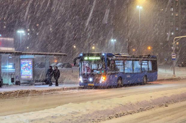 Синоптик Тишковец: в Москве выпало 20% месячной нормы осадков