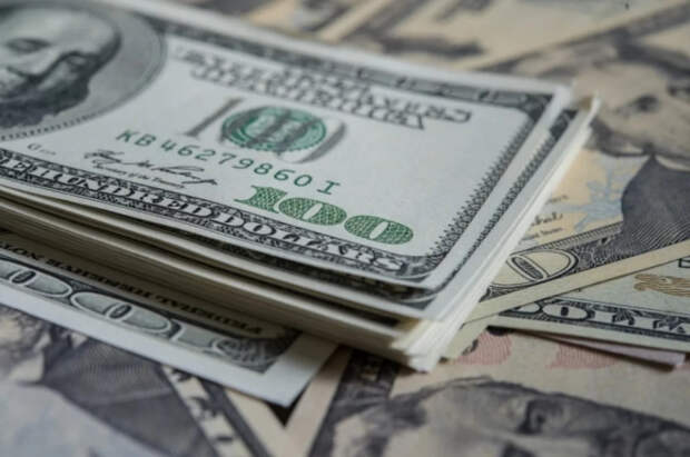 Костёр из долларов: подростки в Москве нашли сумку с деньгами и сожгли