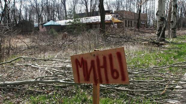 ЛНР обвинила силовиков в хаотичном минировании местности в Донбассе 