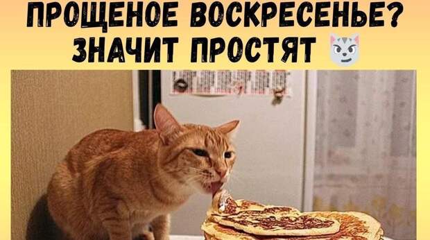 Лучшие, главные и самые смешные мемы — февраль 2026 года