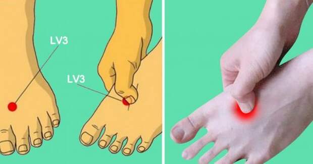 thumb1-600x315 (2)