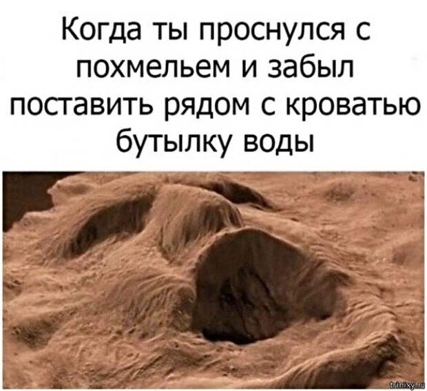 Картинки с надписями, истории и анекдоты