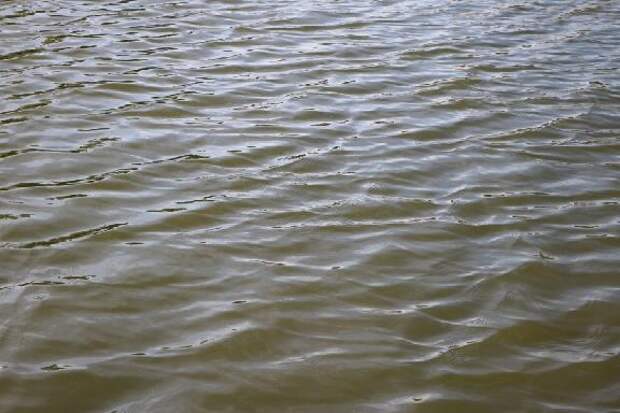 Роспотребнадзор не рекомендует купаться на семи пляжах Тамбова