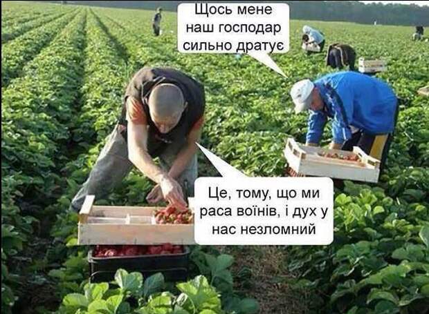 Польша предлагает заменить украинских рабочих-мигрантов узбекскими