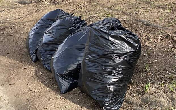 Бастрыкин поручил возбудить дело из-за мусорного полигона в Захаровском районе