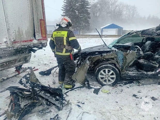 Опубликованы фото с места ДТП на трассе "Дон" в Тульской области
