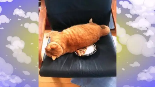  ,  !    
