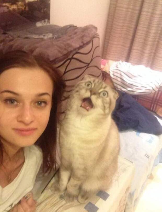 30 веселых фотографий с животными 30 веселых фотографий с животными