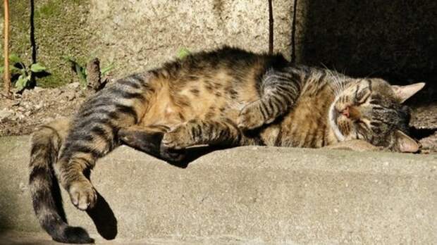 За добро воздастся сторицей