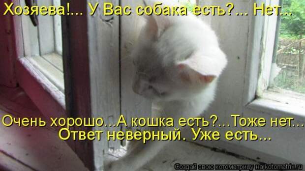 Мысли вслух :)