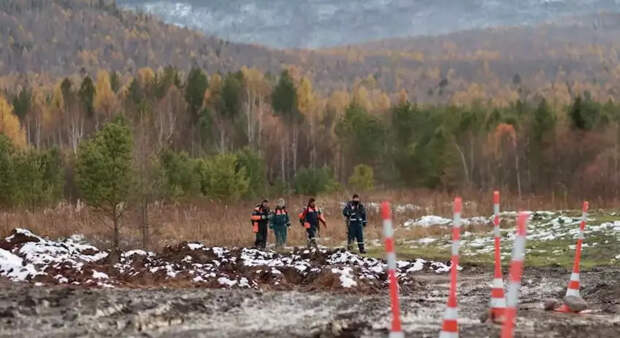 Для поисков Усольцевых вместо собак будут использовать металлоискатели