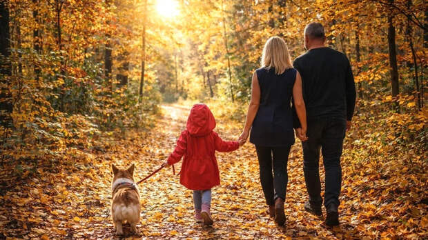 Найдена Ирина Усольцева? В прокуратуру поступили новые сведения о пропавшей в Красноярском крае семье