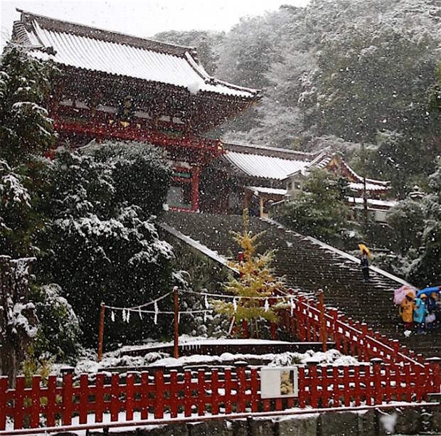 Первый снег... с 1962 года токио, юмор, япония