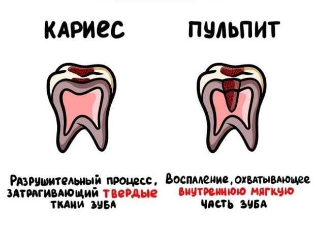 Интересные факты на все случаи жизни