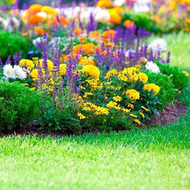 Типы цветников