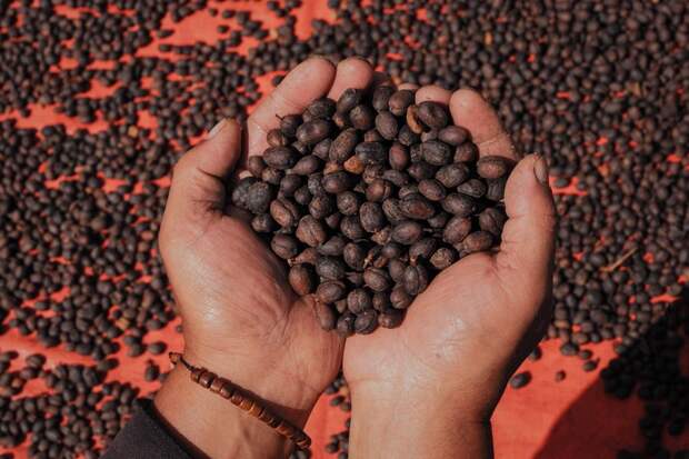 Россия в марте увеличила закупки бразильского кофе почти в шесть раз
