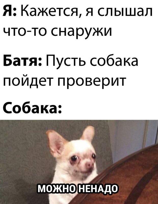 прикольные картинки ржачные (17)