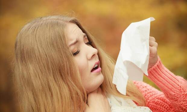 Простуда или поллиноз: как по насморку и кашлю отличить весеннюю аллергию от ОРВИ