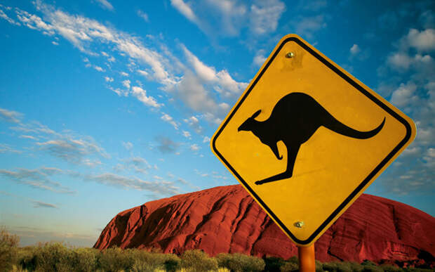 Предупреждение о возможном появлении кенгуру на дороге