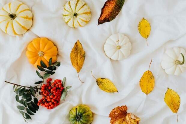 Один из способов сохранить урожай фруктов и овощей без особых потерь — использовать при закладке на хранение листья и ветки рябины. © Pexels  📷 