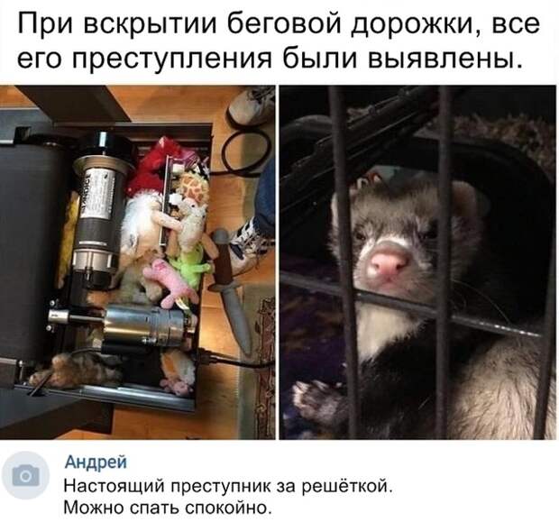 Подборка картинок. Вечерний выпуск (20 фото)
