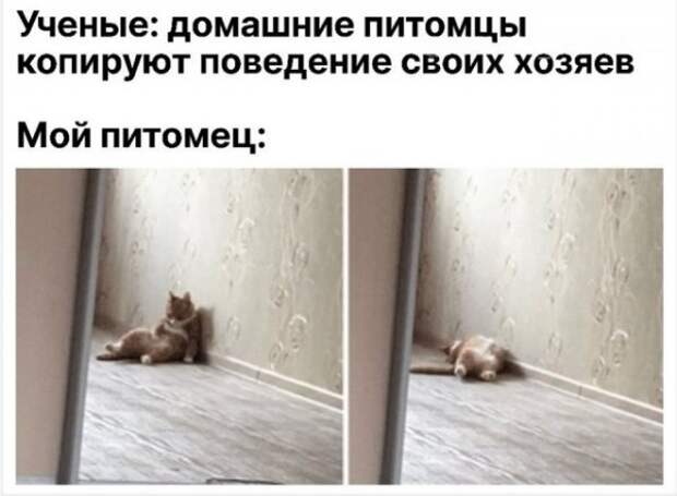 Прикольные картинки абавсём:D