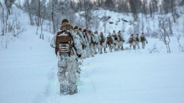 СМИ сообщили о готовящейся провокации НАТО вблизи российской границы