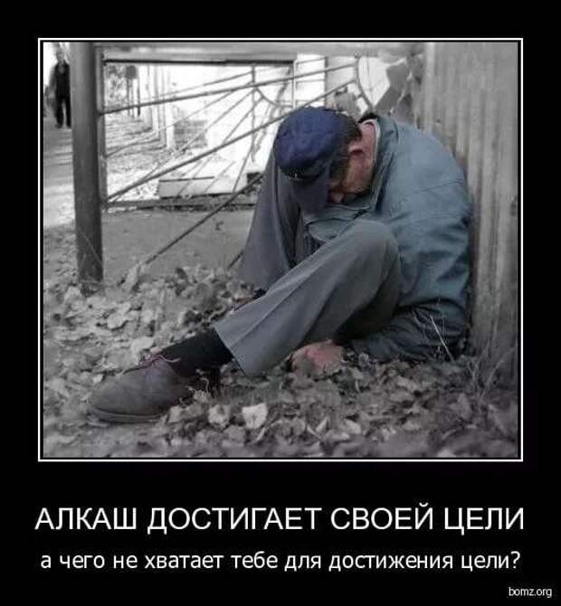 Алкаши картинки смешные картинки