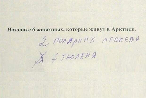 Ответы школьников, которые привели в тупик учителей