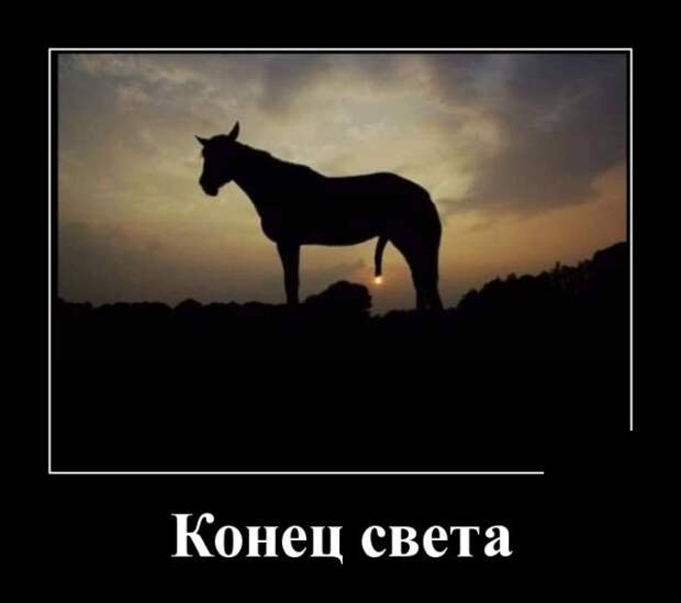 Демотиваторы (20 фото)