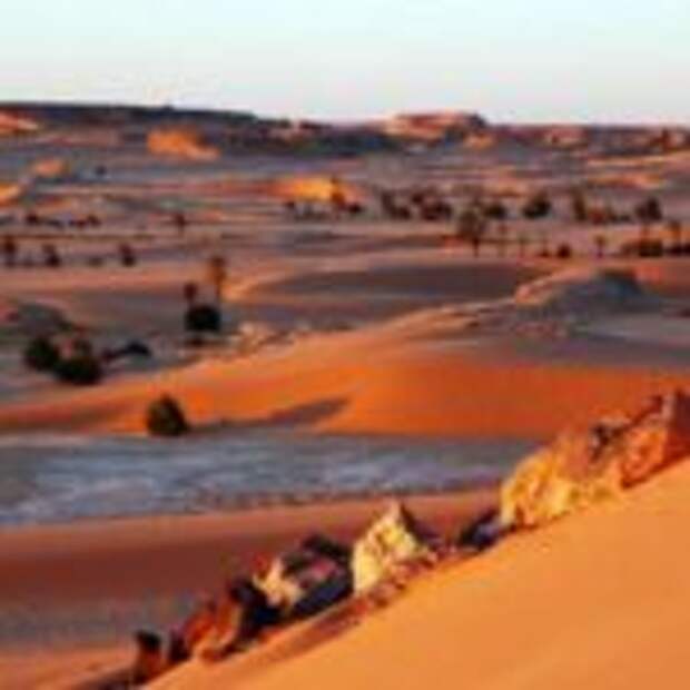 Россия-Африка