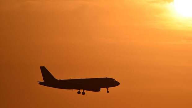 Компании Египта требуют 13 млн рублей за перевозку россиянки, впавшей в кому