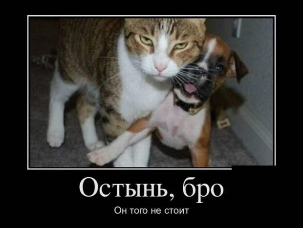 Демотиваторы (30 фото)