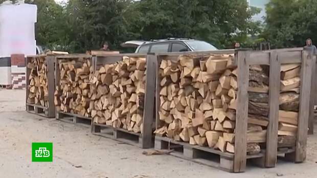 «Запасайтесь дровами»: в ЕС все чаще говорят об усталости от антироссийских санкций