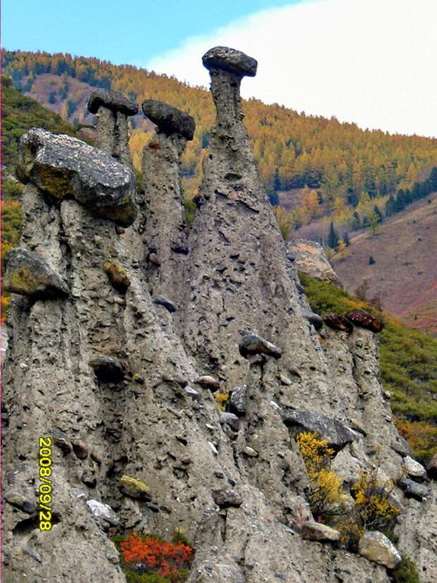 Тайна голоса моря.