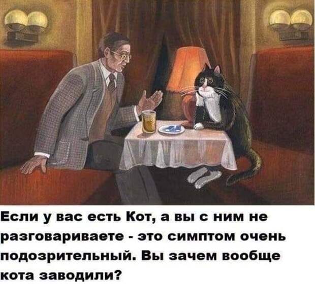 На изображении может находиться: 1 человек, сидит, текст «если y вас есть кот, a вы с ним не разговариваете это симптом очень подозрительный. вы зачем вообще кота заводили?»