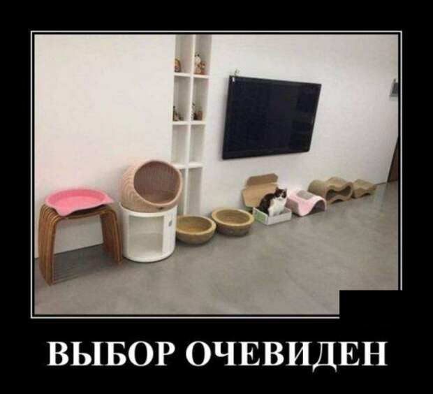 Демотиваторы (30 фото)
