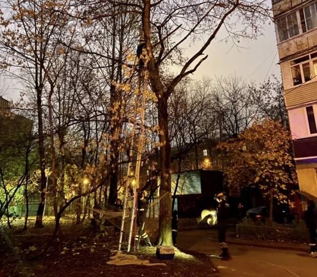 Фото: Татьяна Столова