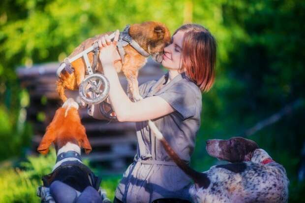 Известный московский фотограф уехала в лес, чтобы помогать животным Дарья Пушкарева, животные, истории, москва, помощь, собака, фотограф