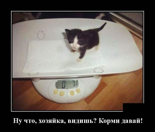 Демотиваторы (30 фото)