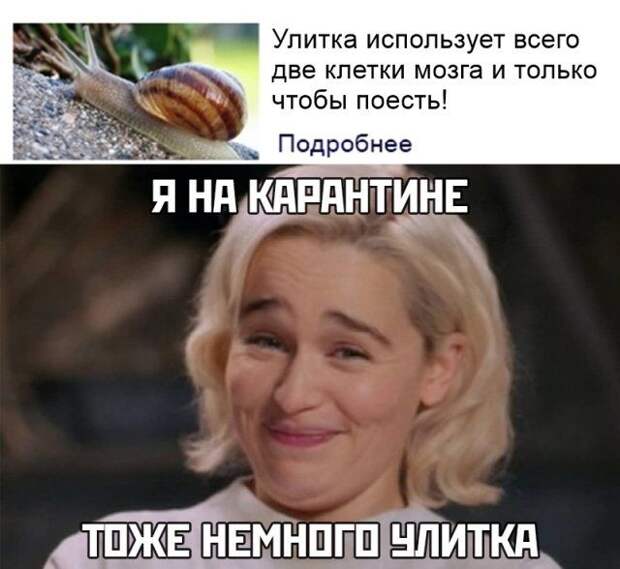 1587051691_kartinki-22.jpg