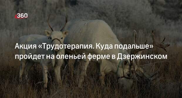 Акция «Трудотерапия. Куда подальше» пройдет на оленьей ферме в Дзержинском