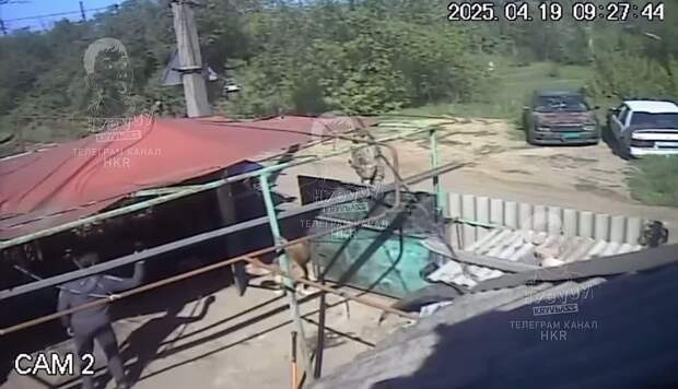 Video: КР.MOV