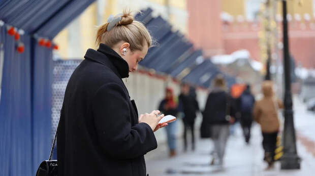 В Москве появился доступ к сайтам из «белого списка»