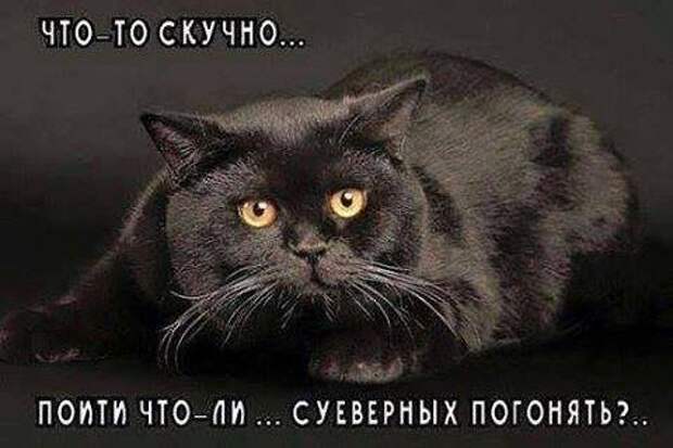 Смешные и веселые картинки с надписями со смыслом (11 фото) Смешные и веселые картинки с надписями со смыслом (11 фото)