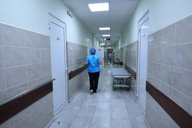 Число пациентов с оспой обезьян в Домодедовской больнице увеличилось до трёх