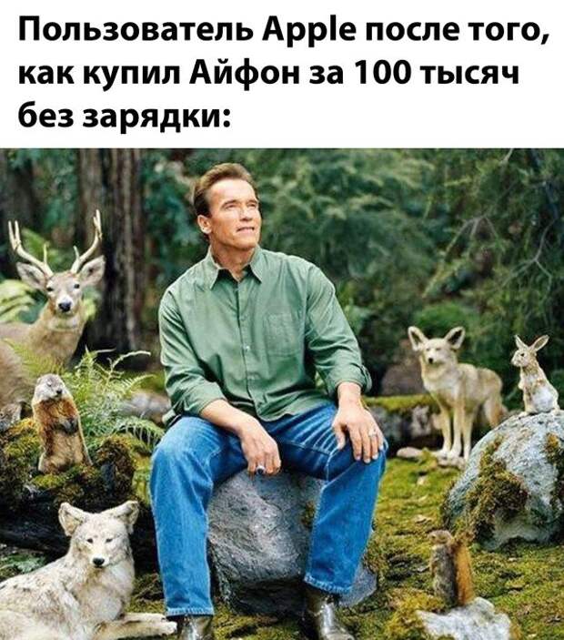 Владельцы новых iPhone