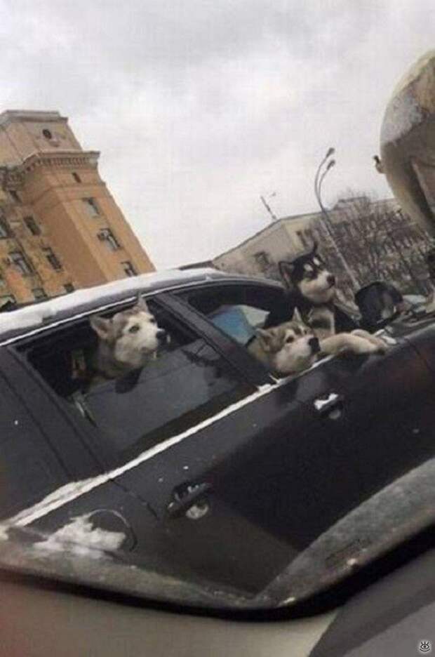 Наши приколы