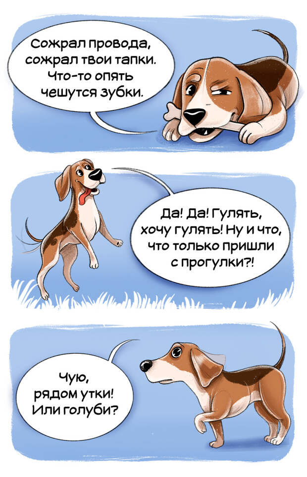 Честный гид по породам собак от первого лица (Часть 2-я)