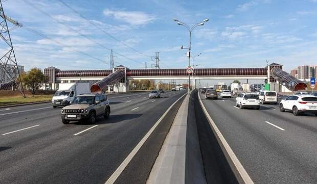 Капитальный ремонт 28 надземных пешеходных переходов запланирован в Москве